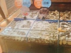 -亚马逊环球美食百汇(新城吾悦广场店)