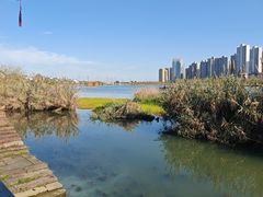 -大小河街