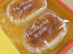 -蒲公英(五里店)