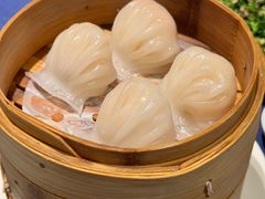 维园虾饺皇-维园悦谱·海派家常菜(乌鲁木齐南路店)