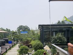 -蘇河湾·新鲁菜·泰山宴(泰山店)