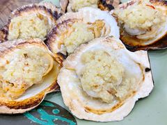 蒜蓉烤贝-贞姨美食·老字号海鲜大排档