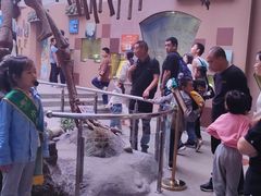 -陕西自然博物馆