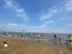 -碧海金沙