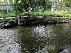 -百脉泉景区