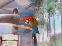 -石家庄市动物园