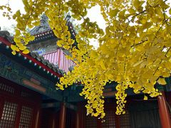 -承恩寺