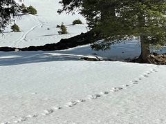 -新疆那拉提国家旅游度假区
