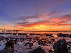 -宝安西湾红树林湿地公园