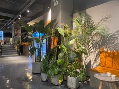 -UMe·玖觅(曲江店)