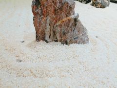-悟长年潮汕菜砂锅粥(圣熙8号店)