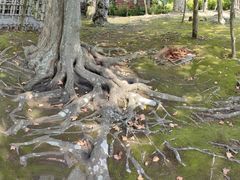 -鹤冈八幡宫