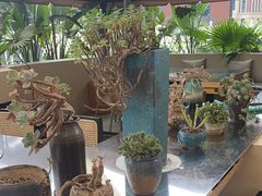 -悦见花开·花园里的火锅·露营·下午茶