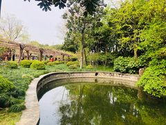 -嘉定紫藤园