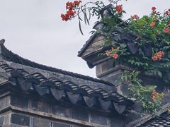 -芥子园