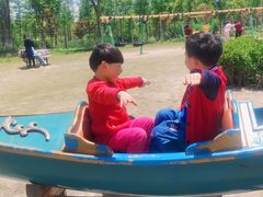 -上海长兴岛郊野公园