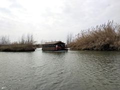 -泗洪洪泽湖湿地景区