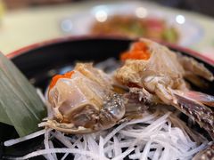 -渔娘渔家丹东海鲜(东直门店)