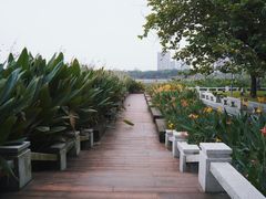 -顺峰山公园