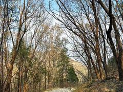 -北京鹫峰国家森林公园