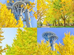 -北京奥林匹克公园