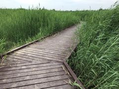 -西青郊野公园