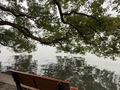 -西湖文化广场