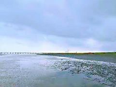 -南汇嘴观海公园