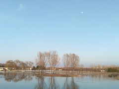 -大兴滨河森林公园