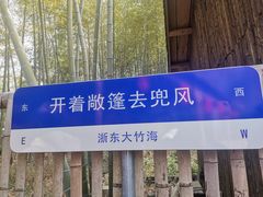 -宁波浙东大竹海景区