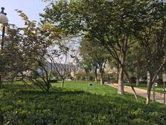-洪家楼教堂