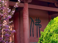 -石岛赤山风景区