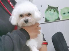 -宠颐生动物医院·小陆分院