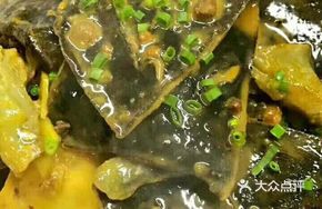 Yellow Stewed Turtle