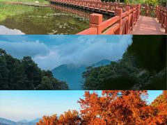 -广州市石门国家森林公园