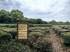-中国茶叶博物馆(双峰馆区)
