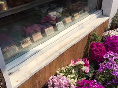 -狐狸家·酸奶酪专门店(平江路店)
