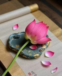 -尚美霓裳晚礼服·合唱服·舞蹈演出服租赁定制