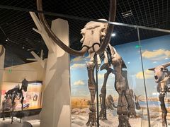 -国家自然博物馆