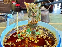 -青城甲(青城山店)