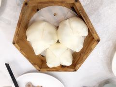 -鹅城