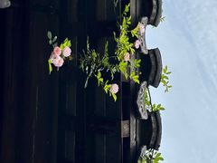 -老门东历史文化街区