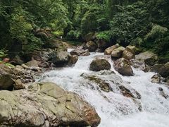 -西岭雪山大飞水景区