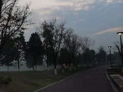 -桂溪生态公园