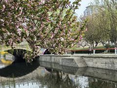 -海棠花溪(元大都城垣遗址公园)