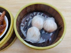 -杨记杏仁茶(椰园店)