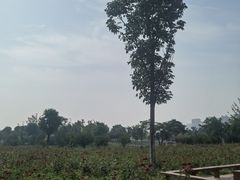 -汉长安城未央宫国家考古遗址公园