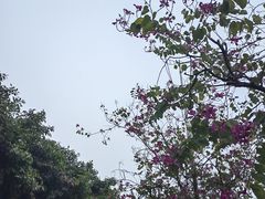 -番禺广场(市桥街道)