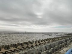 -南汇嘴观海公园