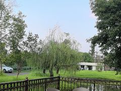 -美宁肥牛(旗舰店)